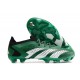 Chaussure adidas Predator Accuracy.1 L FG Vert Blanc